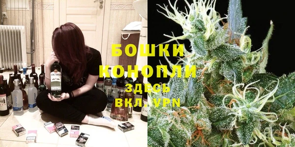 каннабис Беломорск