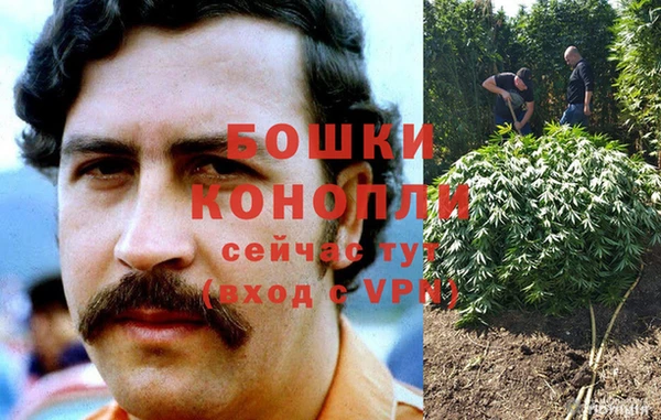 СК Белокуриха
