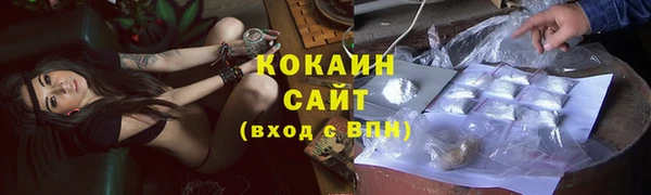 спиды Богородицк