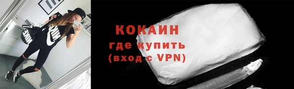 спиды Богородицк