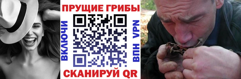 Галлюциногенные грибы GOLDEN TEACHER  блэк спрут   Няндома 